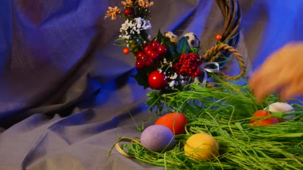 Opole Poland Jan 2017 Made Easter Hen Quail Eggs Festive — Stockvideo