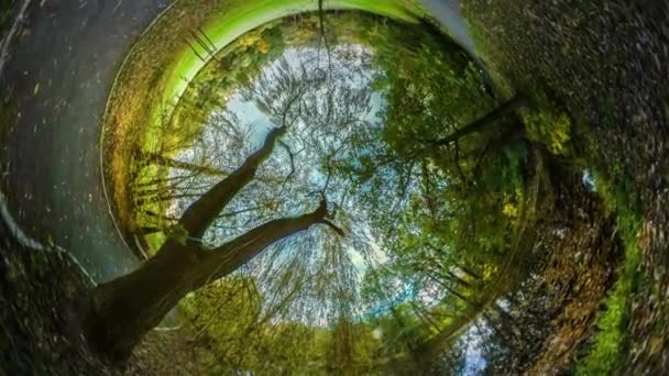 Rabbit Hole bolygó 360 fokos Park utazótáska a világ gyönyörű táj sárga levelek és zöld fű őszi természet sikátorban városi Park vagy az erdő
