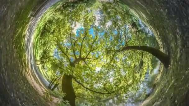 Menge im Park in sonnigem Tag Kaninchenloch Planet 360 Grad Menschen atmen frische Luft in der Natur des Parks schöne Landschaft Herbst sonniger Tag blauer Himmel — Stockvideo