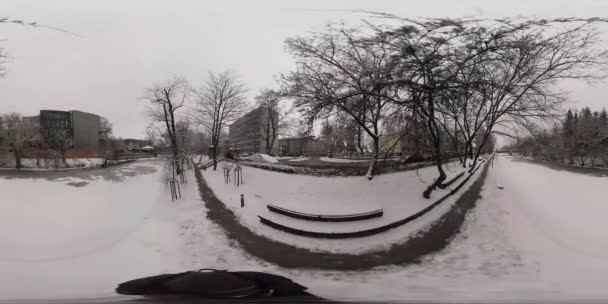 360Vr Video Juvenile Trees Alley Park Winter 360 Degrees Overcast — Vídeo de stock