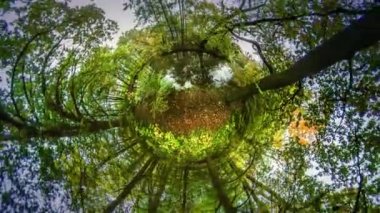 Nemli Park Mini gezegen 360 derece hava uçuş gölde Dünya güzel manzara sonbahar doğa seyahat rekreasyon solunum orman taze hava tarafından yürümek