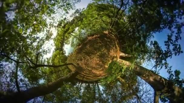 Lago ao pôr-do-sol Mini Planeta 360 Graus Dia Quente Céu Outono Reflexão na Água Ecologia Urbana Viajando pelo Mundo Natureza Pura Ar Fresco Não Pessoas — Vídeo de Stock