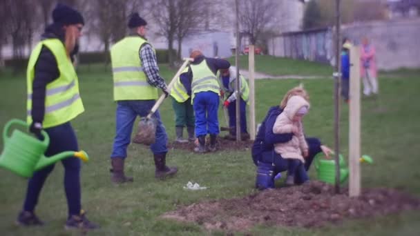 Группа людей занимается посадкой деревьев в городском парке — стоковое видео