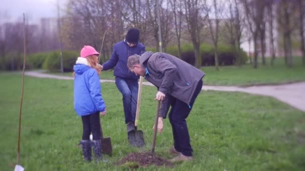 Chłopak i dziewczyna pomoc do ojca kopać Deepenings w ziemi — Wideo stockowe