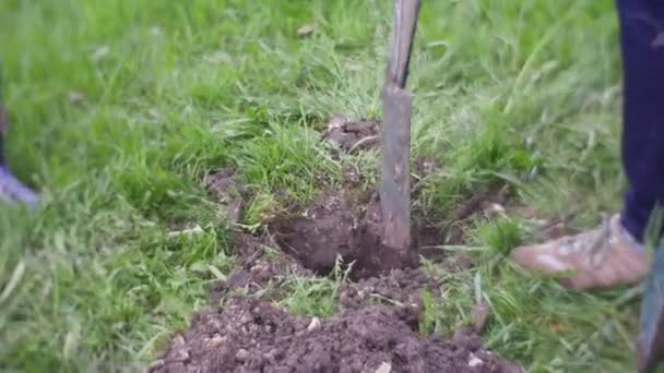Folk gräva en grop i en ödetomt — Stockvideo