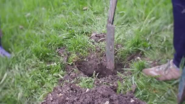 Mensen graven een kuil in een vrij veel — Stockvideo