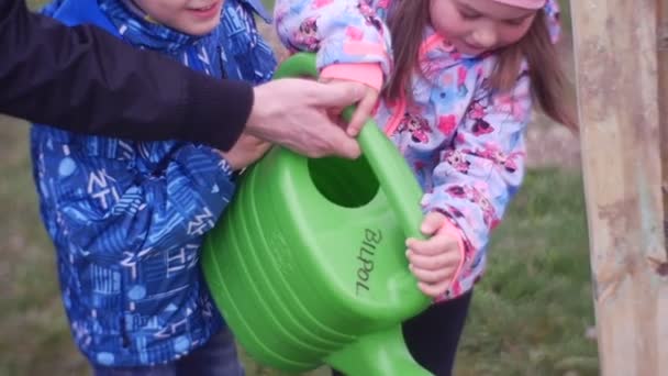 Pai ajuda a filha e filho a regar uma planta — Vídeo de Stock
