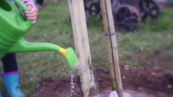 Les gouttes d'eau tombent sur un sol mou — Video