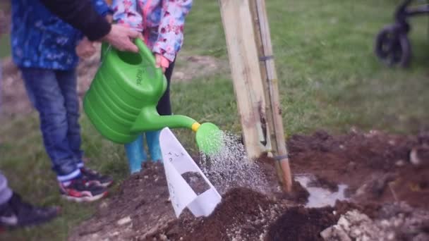 Pojke och flicka plantera en unga träd på fältet — Stockvideo
