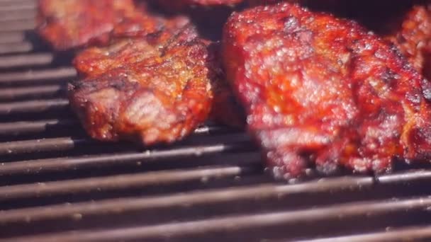 La carne se fríe en un brasero — Vídeos de Stock