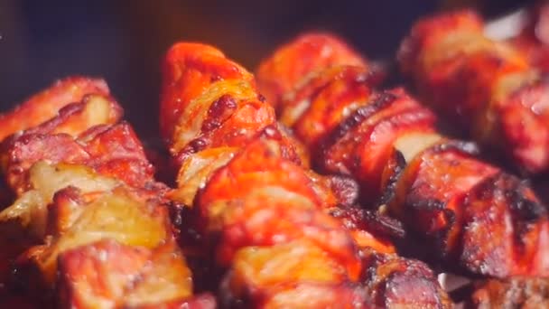 Tasty Chicken Meat Lies Heated Metal Lattice Brazier Prepares Fire — Stok Video