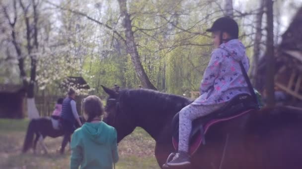 Niña va a dar un paseo en caballo adulto alto — Vídeos de Stock