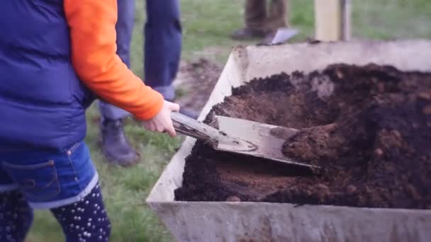 Liten flicka skopor gödselmedel med hjälp av spade — Stockvideo