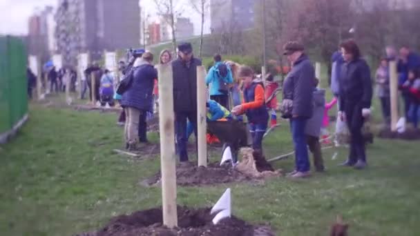 Människor är engagerade i Trädgårdsskötsel i City Park — Stockvideo