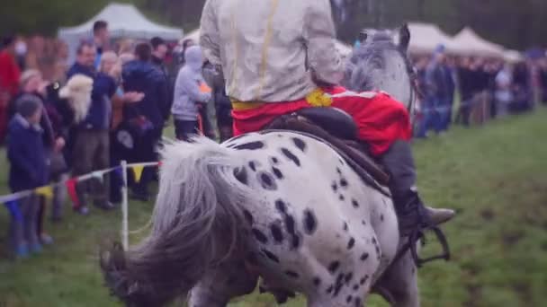 Всадник старается не упасть с лошади — стоковое видео