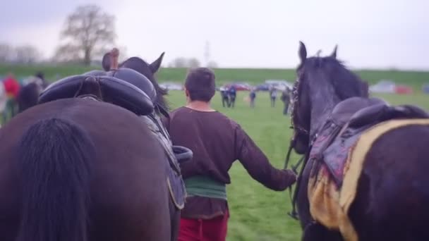 Exposição de cavalos de raça pura — Vídeo de Stock