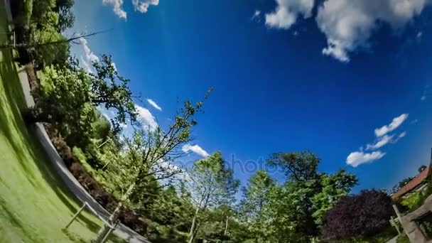 ウサギ穴地球 360 度夏風景動物園人工生息場所動物夏の晴れた日の地球の生命の惑星記号の性質の回転 — ストック動画