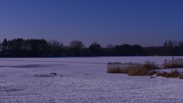 Día Despejado Lago Invierno Cielo Azul Vivo Nieve Blanca Brillante — Vídeos de Stock