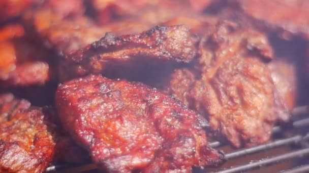 Małe Kawałki Mięsa Wieprzowego Leżą Metalowej Tacy Przyprawione Pachnącym Pieprzem — Wideo stockowe