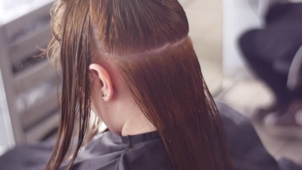 Spa Salonunda Kadın Müşterinin Saçını Tarayan Kuaför — Stok video