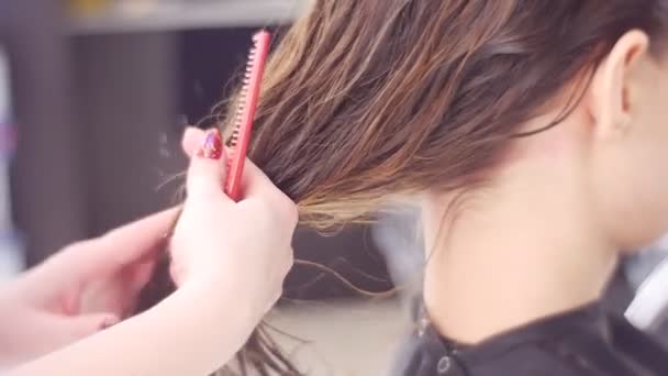 Peluquería Peinando Cabello Mujer Cliente Salón Spa — Vídeo de stock