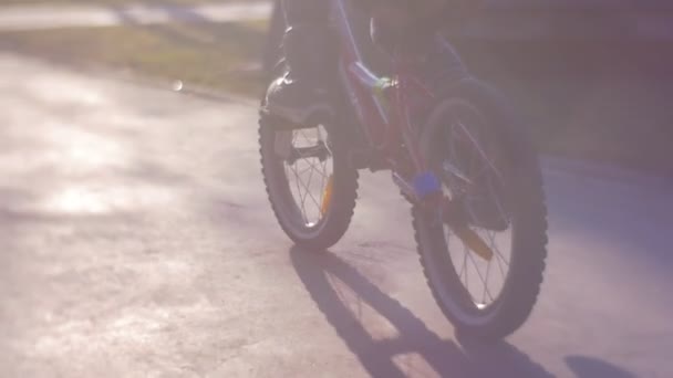 Niña Montando Bicicleta Otoño Frío Día Invierno — Vídeo de stock