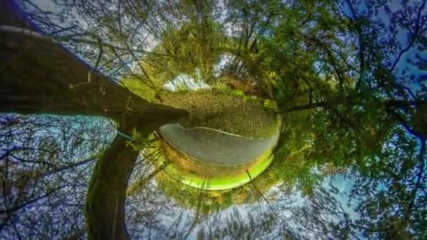 360 Graden Panorama Van Mens Prachtig Herfstbos — Stockvideo