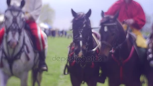 Riders leda sina hästar till stallet — Stockvideo