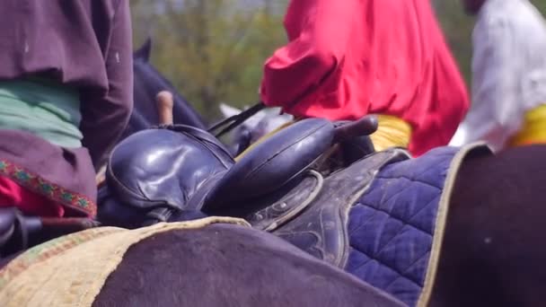 Caballos negros grandes caminan alrededor del campo — Vídeos de Stock