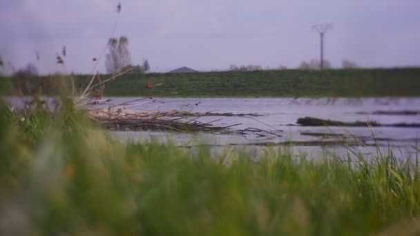 Наводнение в провинциальном городе — стоковое видео