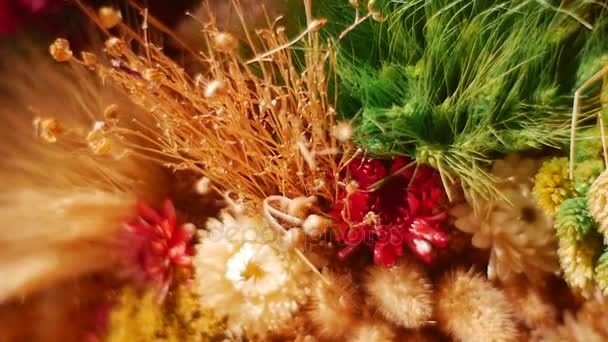 Un bellissimo mazzo di fiori di campo secchi — Video Stock