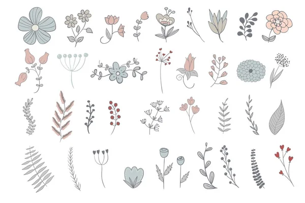 güzel twigs yaz çiçek