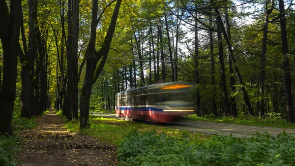 Tramway line along urban park — Stock Photo, Image