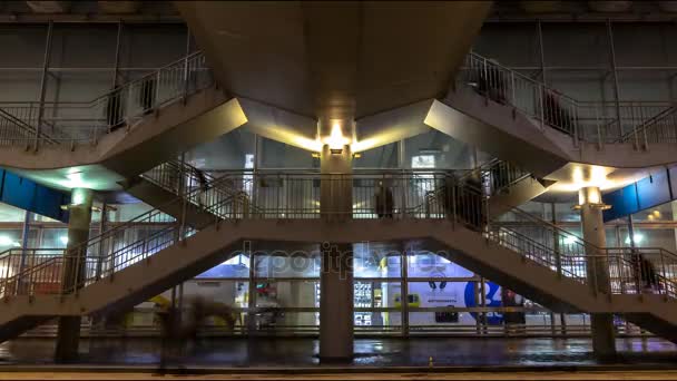 Stroom van mensen die zich verplaatsen op trappen, time-lapse — Stockvideo