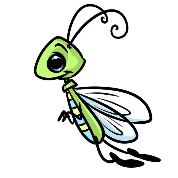 Insect sprinkhaan cartoon — Stockfoto