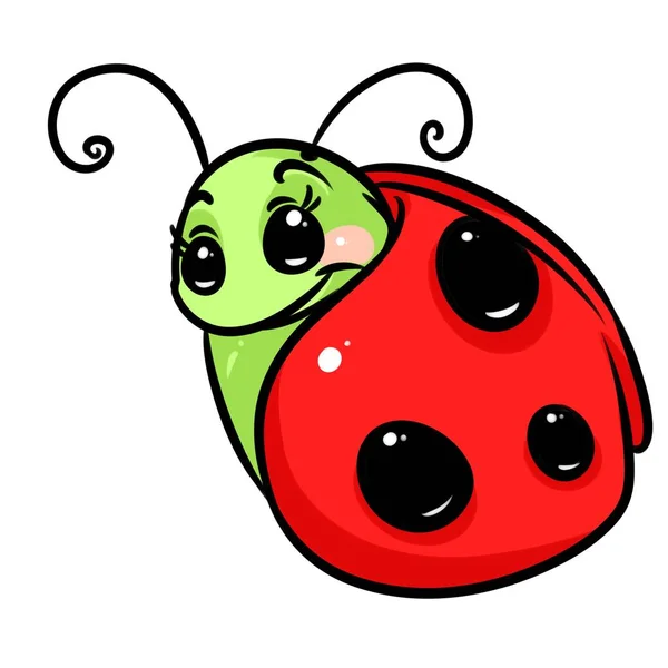 Insecte coccinelle dessin animé — Photo