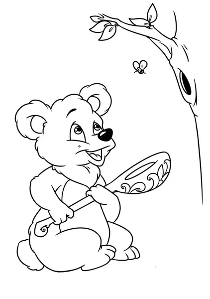 Bear honey coloring page cartoon — Stock Photo, Image