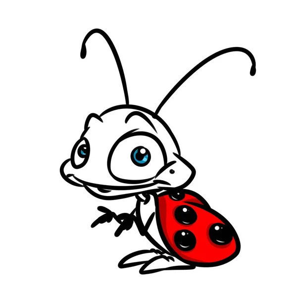 Biedronka ilustracja kreskówka owadów — Zdjęcie stockowe
