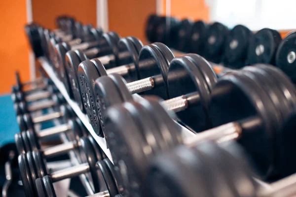 Vista de las pesas de las filas en un estante en el gimnasio — Foto de Stock