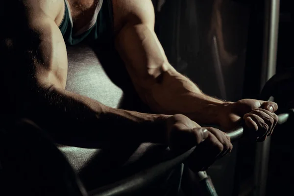 Hands of an athlete close-up, which does an exercise with a barbell. gym. biceps Stock Picture