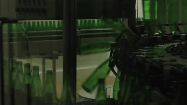 Μεταφορική ταινία με γυάλινες φιάλες για εμφιάλωση μπύρας. — Αρχείο Βίντεο