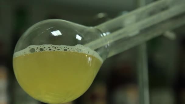 Процес кип'ятіння розчину в колбі в хімічній лабораторії . — стокове відео