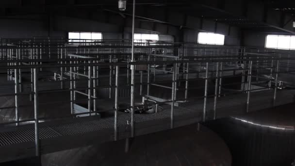 Komplexa produktionsanläggningar i öl fabrik — Stockvideo