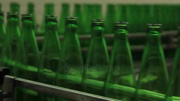 Cinta transportadora con botellas de vidrio para embotellar cerveza . — Vídeos de Stock