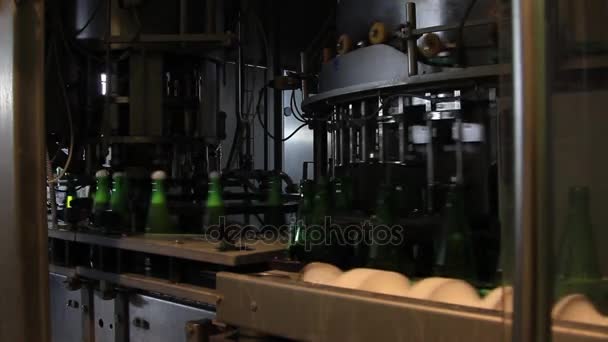 Conveyor belt with glass bottles. beer production. — Stock Video