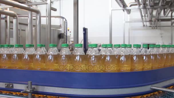A linha de produção de limonada. Um transportador de garrafas de plástico cheio de líquido . — Vídeo de Stock