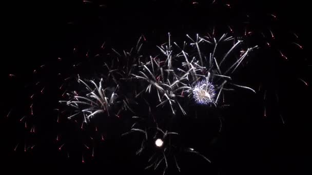 feux d'artifice colorés dans le ciel nocturne