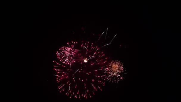 Fuochi d'artificio celebrativi nel cielo notturno — Video Stock