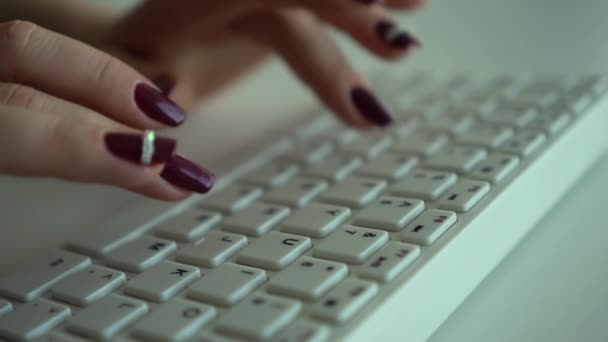 Female hands print information on the computer keyboard close-up. Slow motion — Stock Video