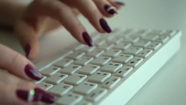 Le mani femminili stampano informazioni sulla tastiera del computer primo piano. Rallentatore — Video Stock